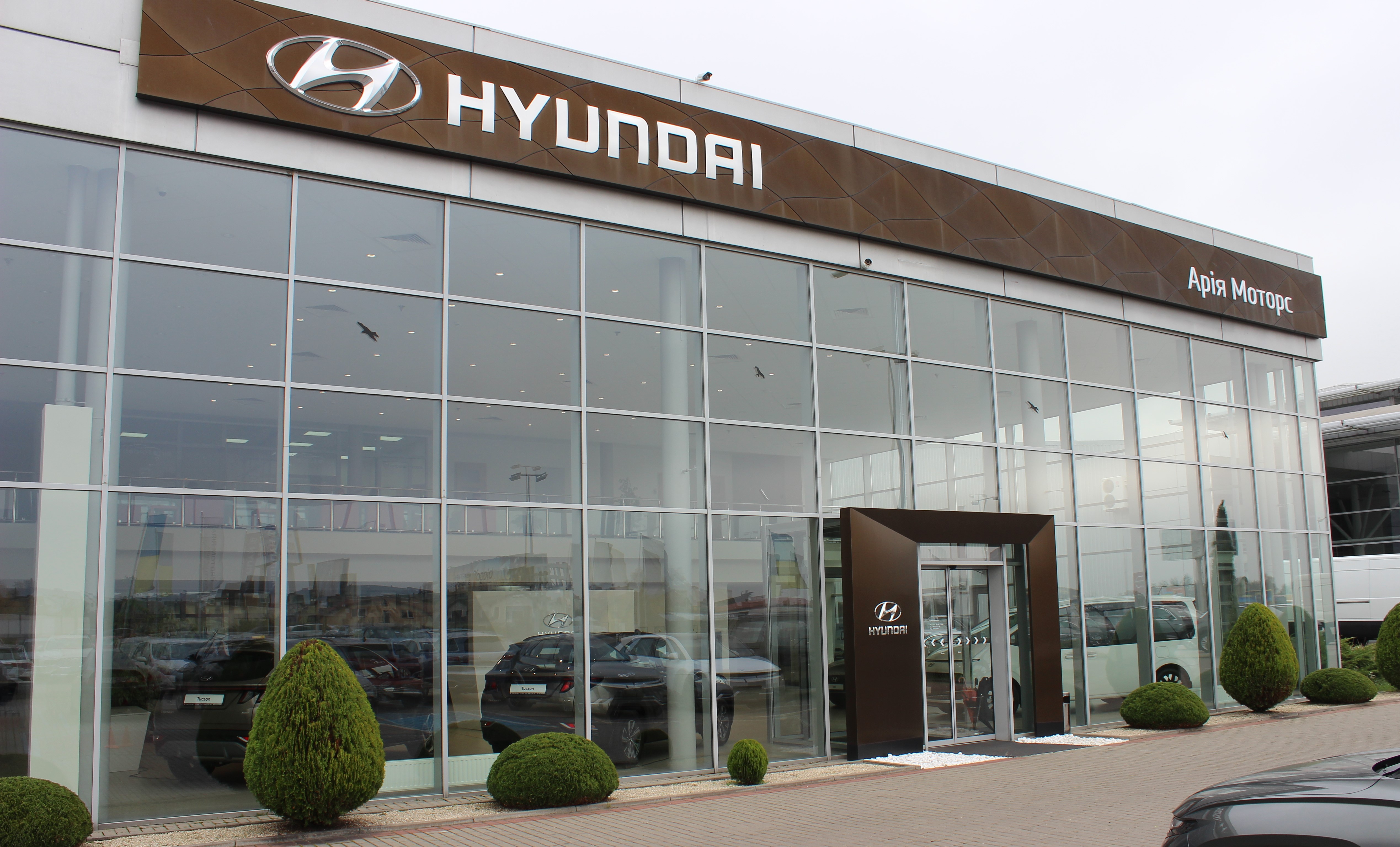 Hyundai купити в Луцьку. Нові Хюндай. Ціни на авто Hyundai в Луцьку - фото 6