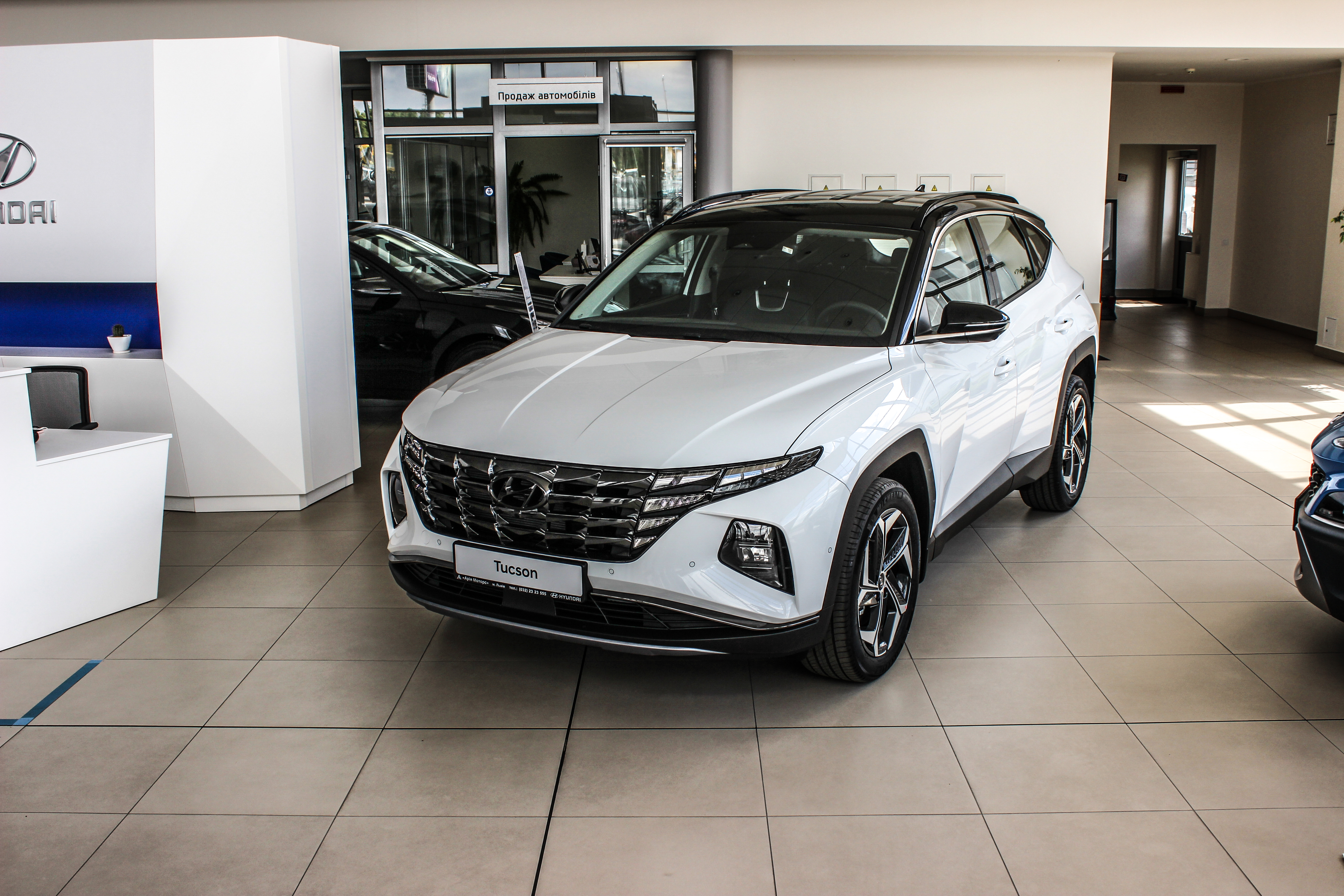 Hyundai купити в Луцьку. Нові Хюндай. Ціни на авто Hyundai в Луцьку - фото 6