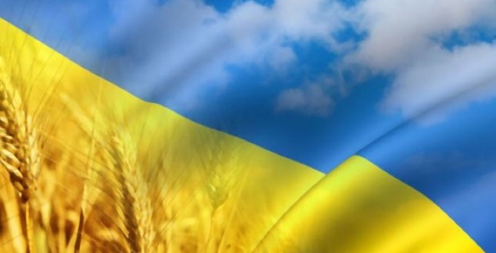 Hyundai купити в Луцьку. Нові Хюндай. Ціни на авто Hyundai в Луцьку - фото 16