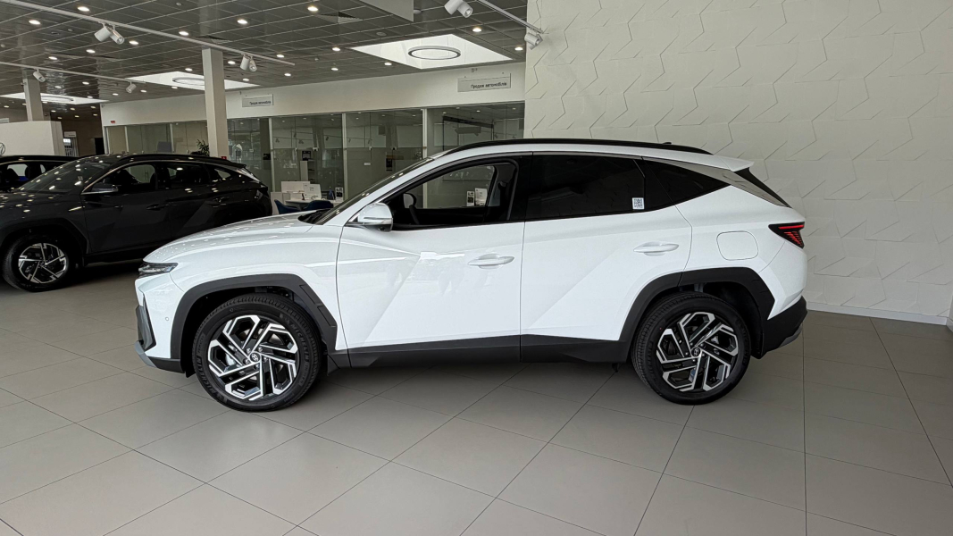 Hyundai купити в Луцьку. Нові Хюндай. Ціни на авто Hyundai в Луцьку - фото 10