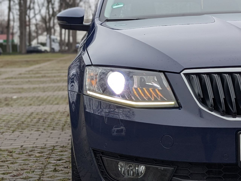 Hyundai купити в Луцьку. Нові Хюндай. Ціни на авто Hyundai в Луцьку - фото 13